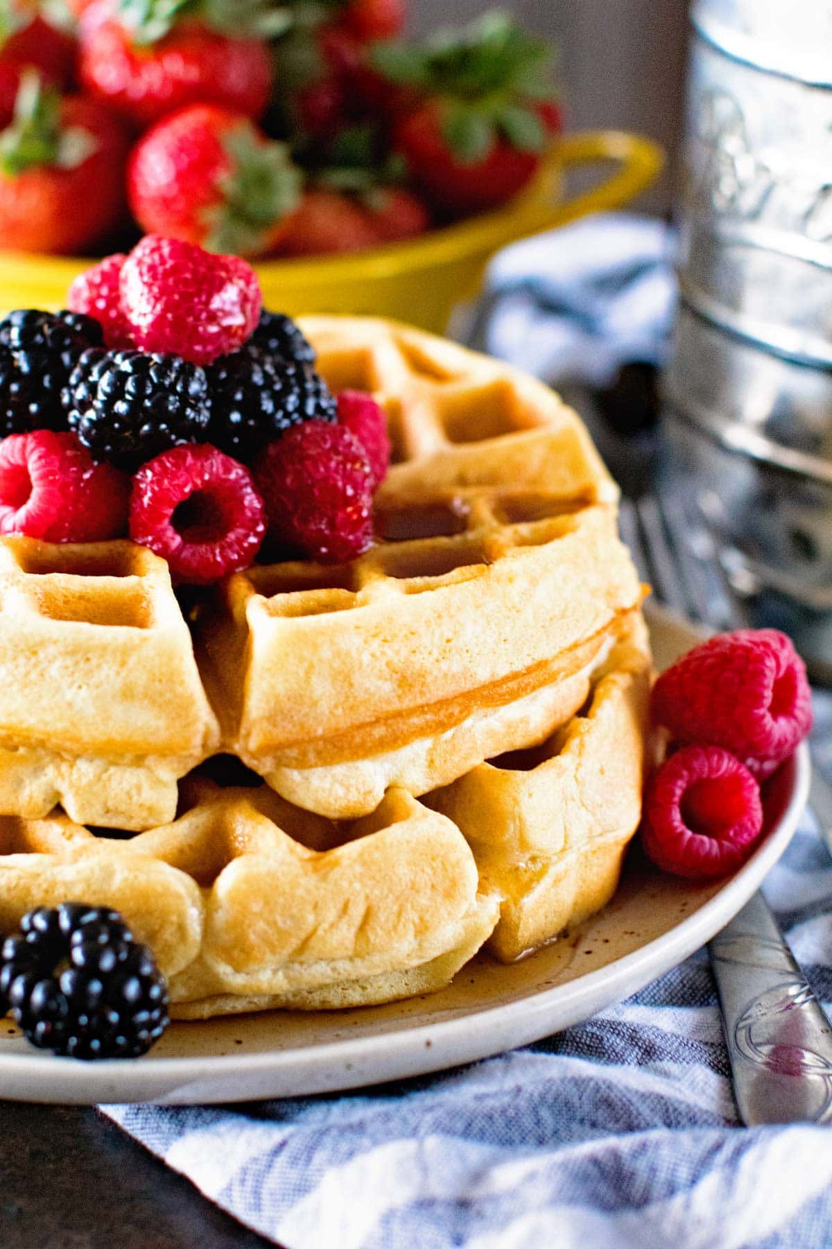 Waffle Recipe Natasha's Kitchen at Amy Walker blog